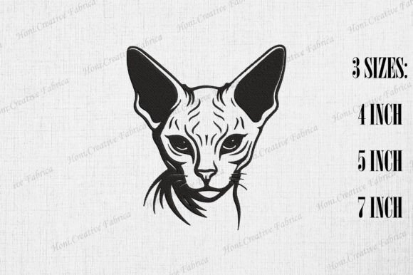 Cute Sphynx Cat: A Designer’s Review for Real Projects