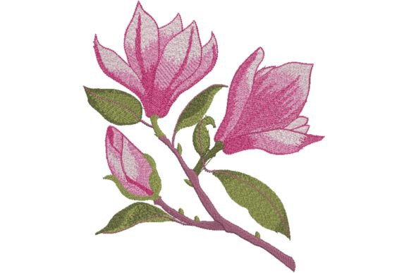 Reviewing Small Branch Pink Magnolia for Holiday Sales